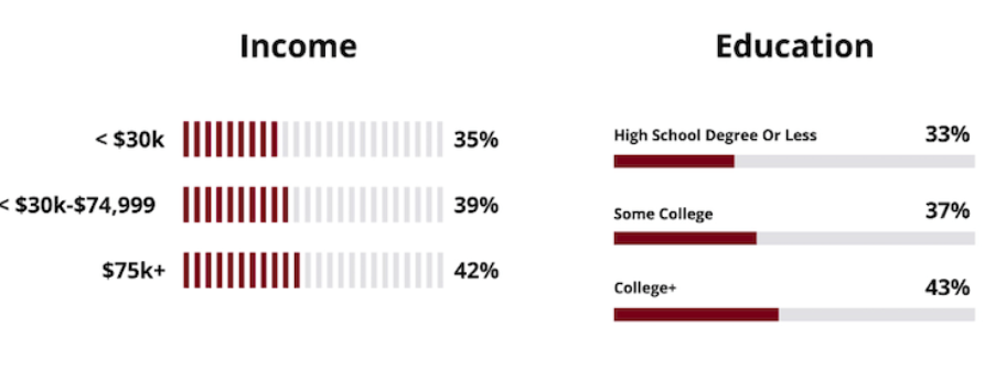 instagram-demographics-by-income-and-education