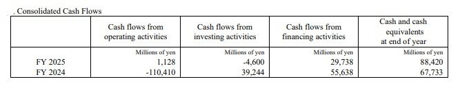 Consolidated Cash Flows