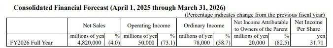 Consolidated Financial Forecast