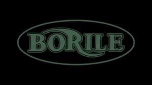 Borile Statistics