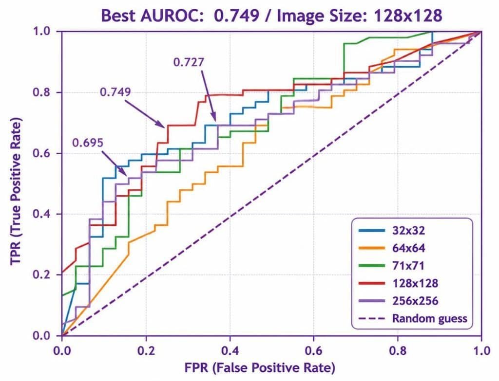Performance of CNN-Based Fake Image Detection